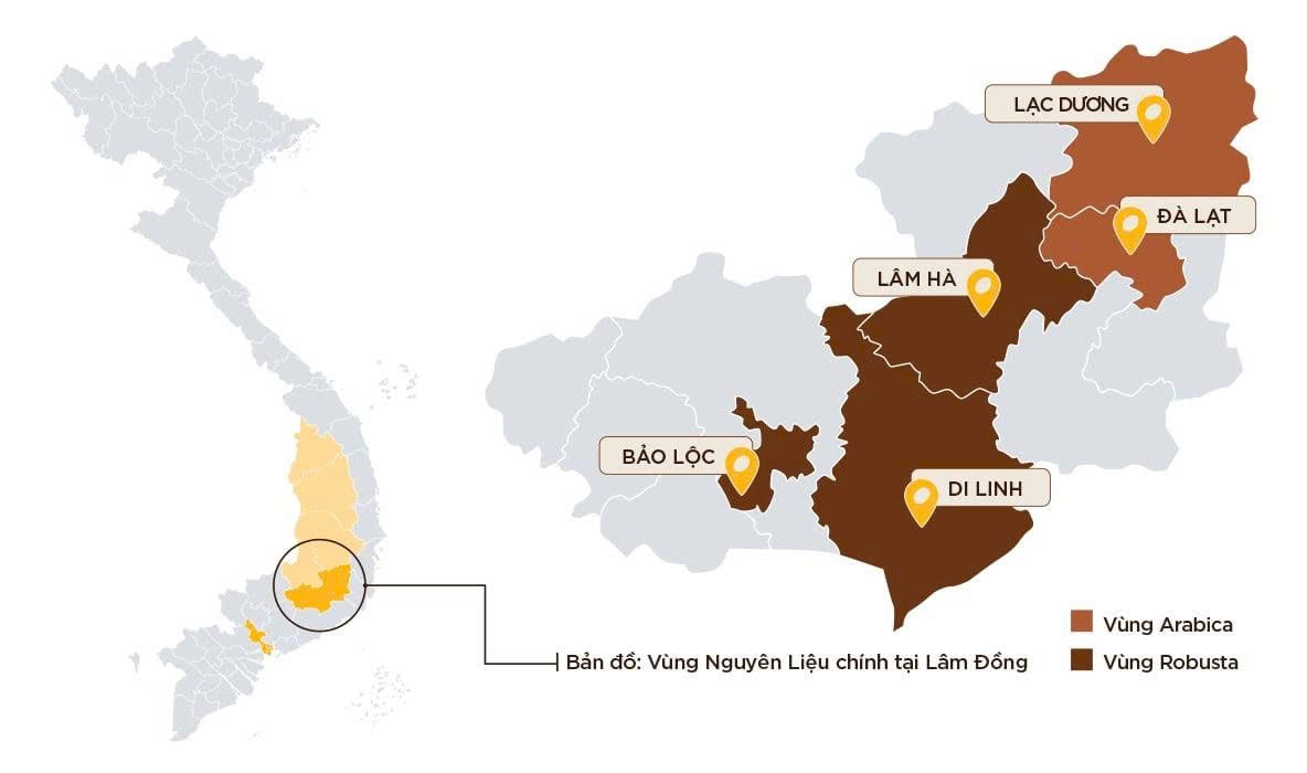 Nguồn cung cấp cà phê Arabica từ các vùng nổi tiếng
