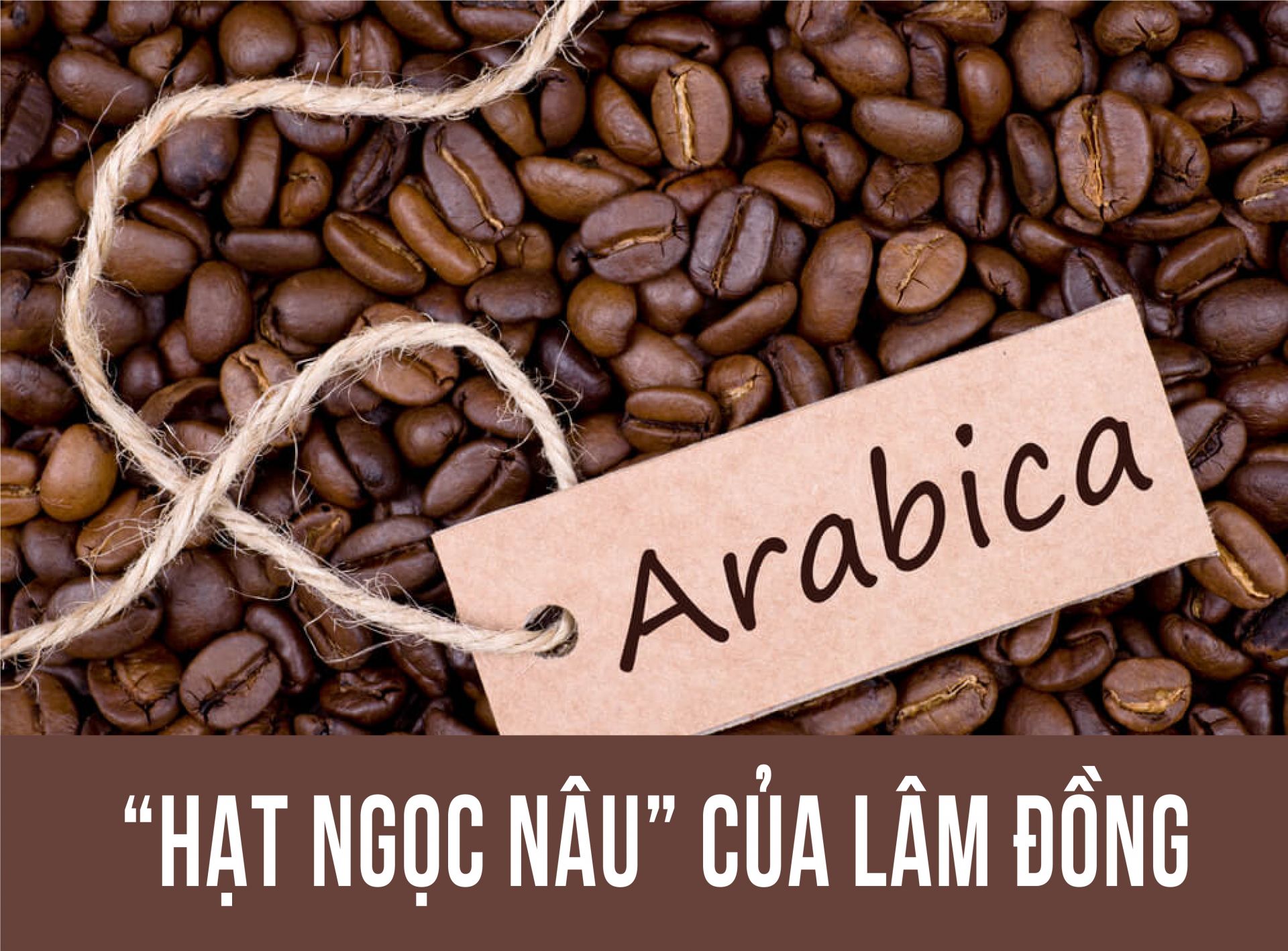 cà phê arabica