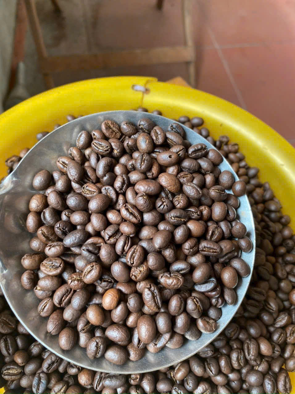 cà phê robusta sỉ