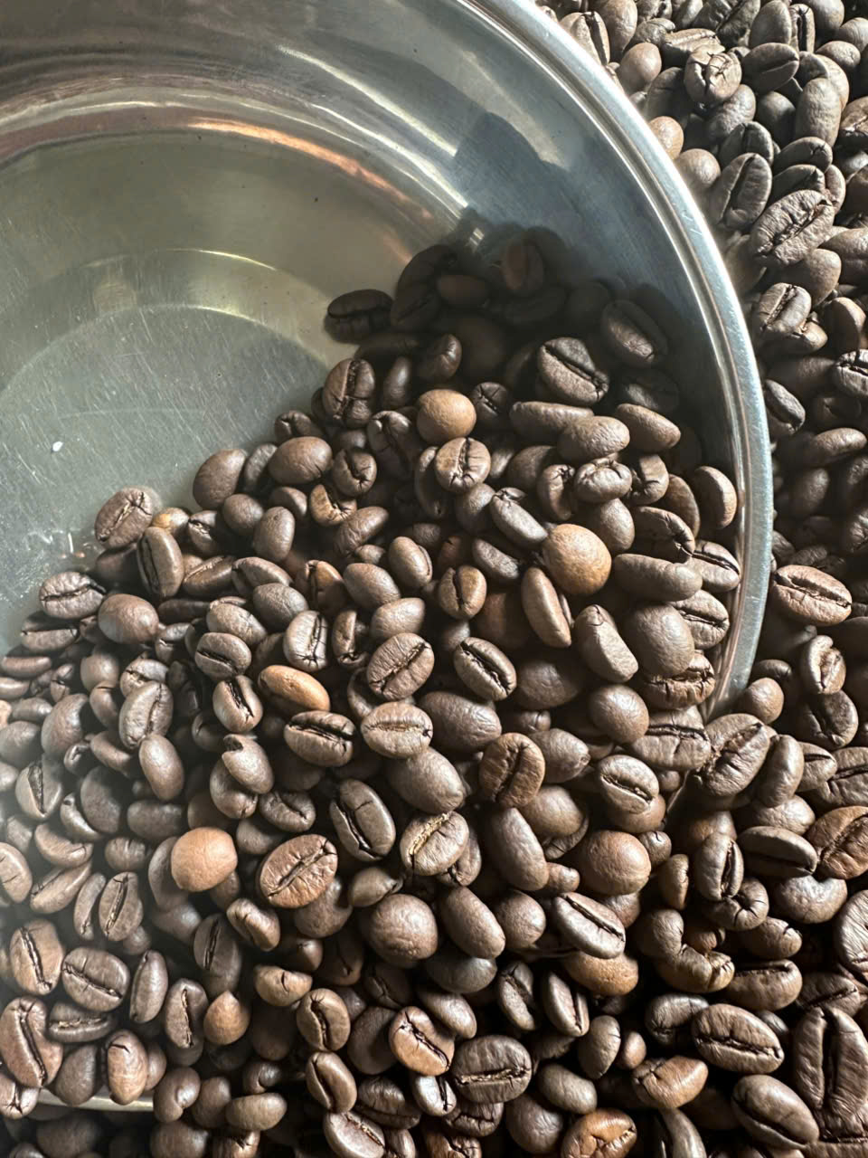 cà phê hạt rang giá sỉ