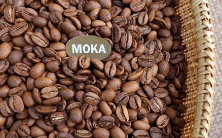Cà Phê Moka – 