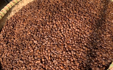 Cà phê nguyên chất - Cà phê sạch thương hiệu Sơn Việt