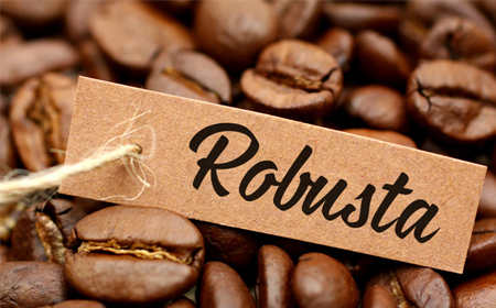 Cà Phê Robusta – Nét Đặc Trưng Đậm Đà Của Văn Hóa Cà Phê Việt Nam