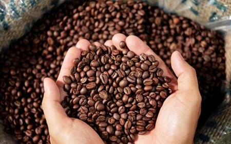 Cung cấp cà phê hạt rang Espresso – Đậm vị, chuẩn gu pha máy