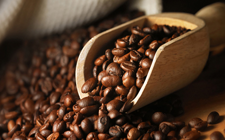 Cung cấp cà phê hạt rang sạch – Giá sỉ cho đại lý