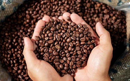 Cung cấp cà phê rang xay cho quán, nhà hàng, resort