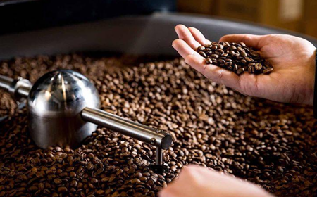 Cung cấp cà phê xuất khẩu đạt chuẩn cho đối tác toàn cầu