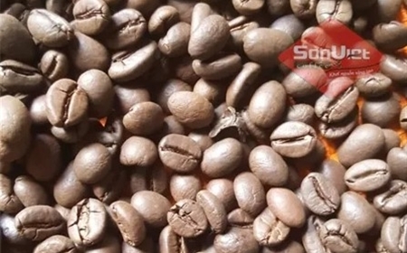 Điểm Mua Cà Phê Gói, Cà Phê Rang Xay Ngon Tại Bảo Lộc