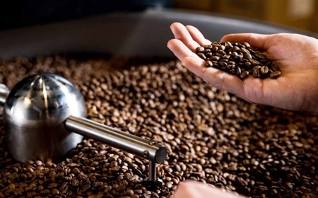 Mua cà phê giá sỉ ở đâu uy tín? Gợi ý dành cho quán và đại lý mới mở