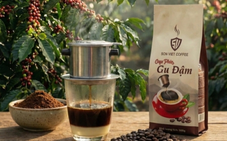 Mua Cà Phê Nguyên Chất Pha Phin Ở Đâu Uy Tín, Sạch