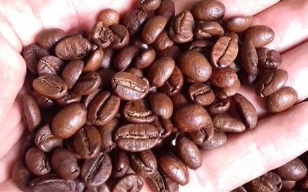 Những Lý Do Khiến Arabica Trở Thành Giống Cà Phê Được Ưa Chuộng Nhất Thế Giới